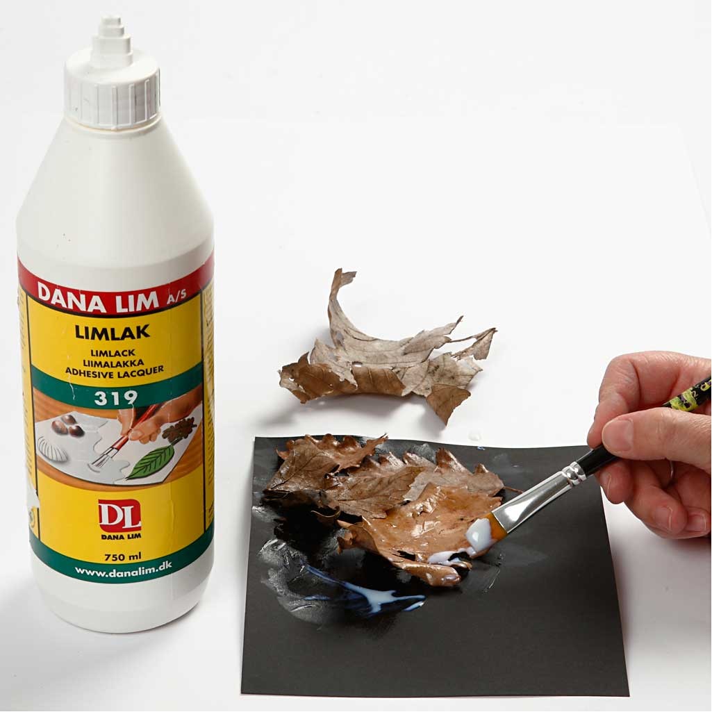 Dana lepidlo 750ml
