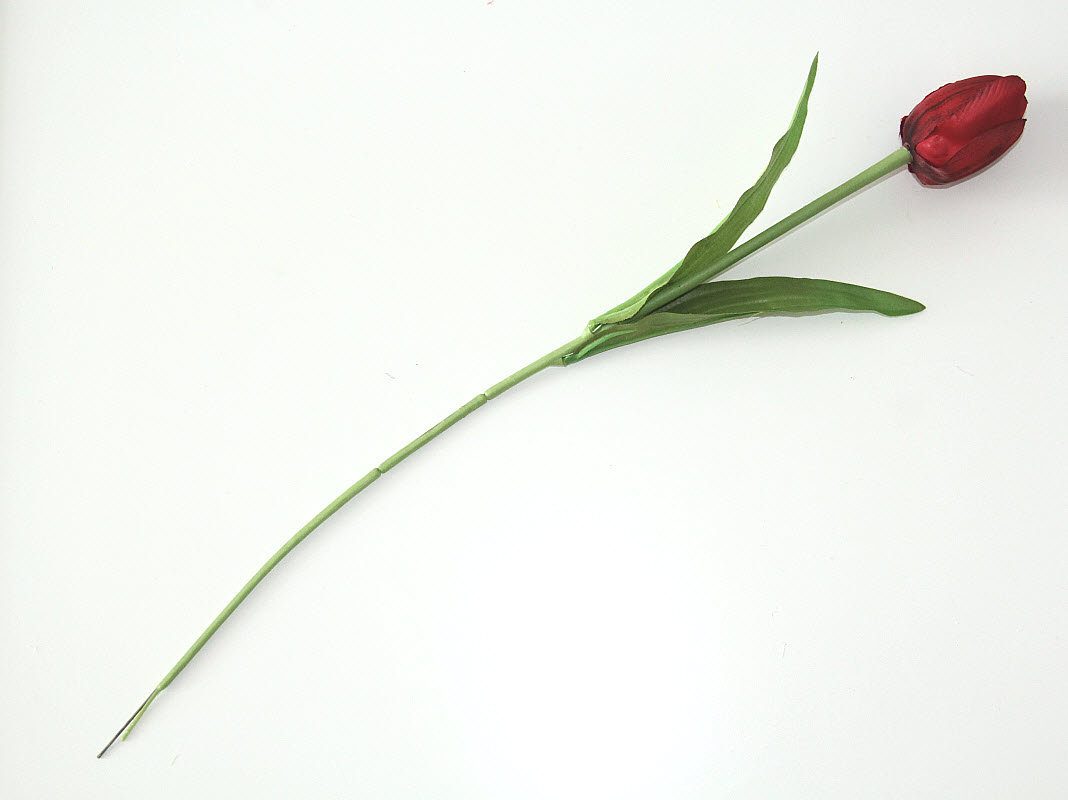 Saténový tulipán