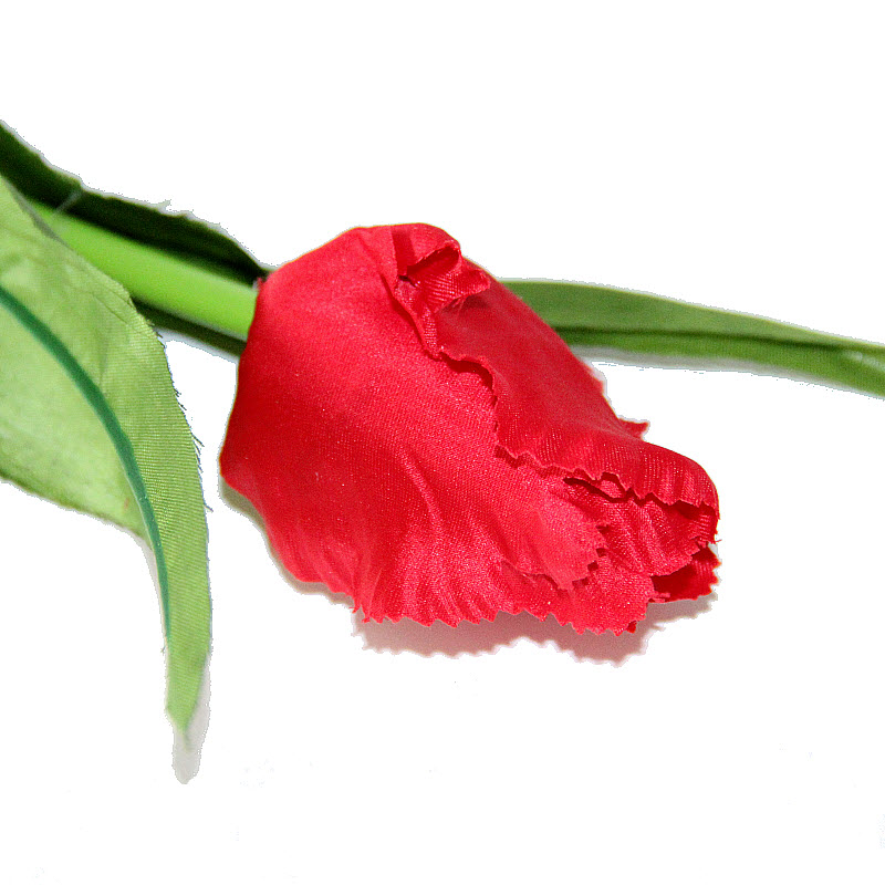Saténový kučeravý tulipán