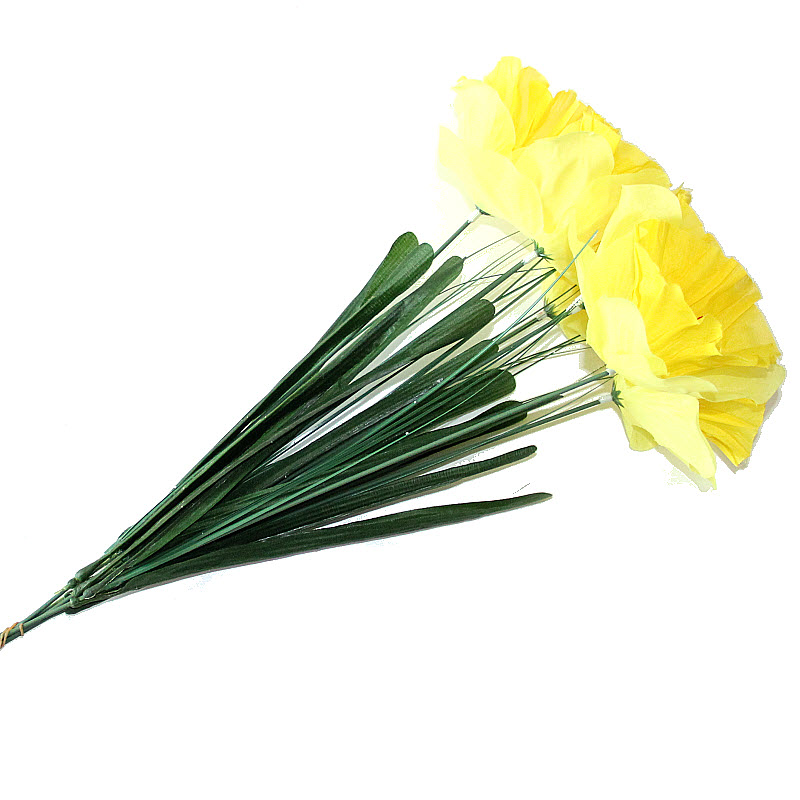 Narcis 12 ks