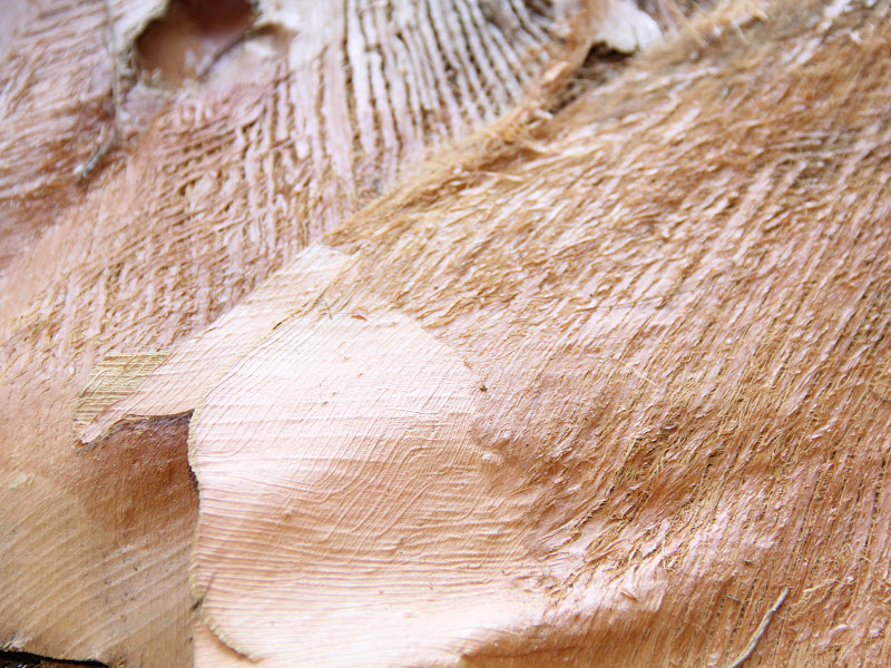 Palmová kôra 250 g