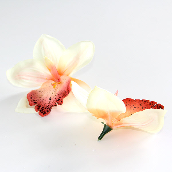 Kvet Orchidea 14 cm, 2 ks