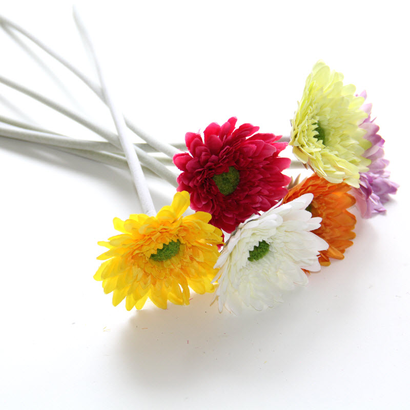 Gerbera mini