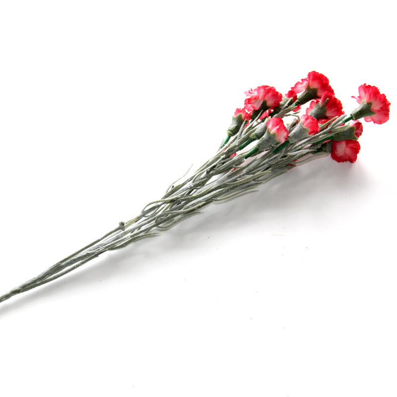 Karafiát 64 cm