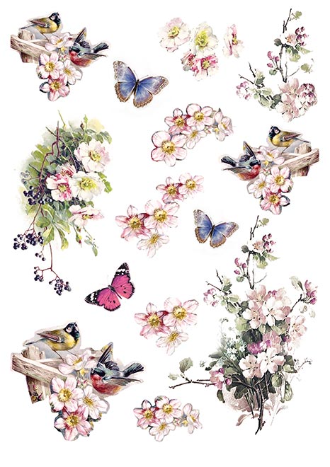 Sada Summertime scrapbook papierov 6 ks