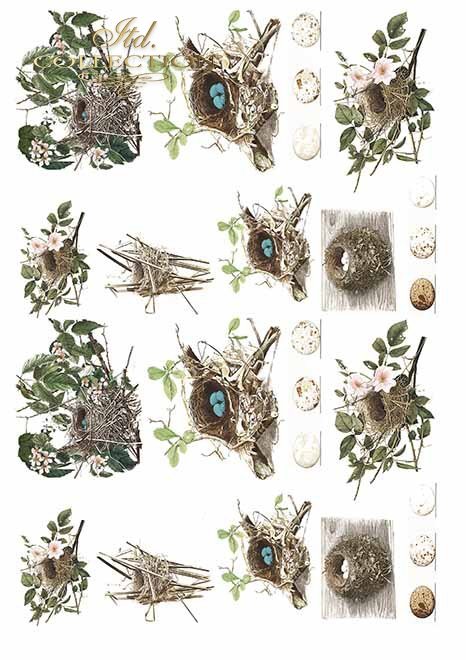 Sada Evening time scrapbook papierov 6 ks