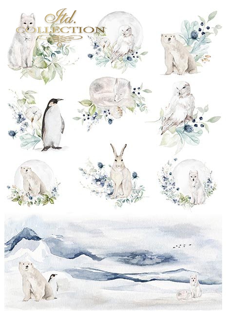 Sada Ice porcelain scrapbook papierov 6 ks