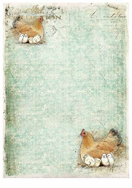 Sada "Around the farm" scrapbook papierov 6 ks