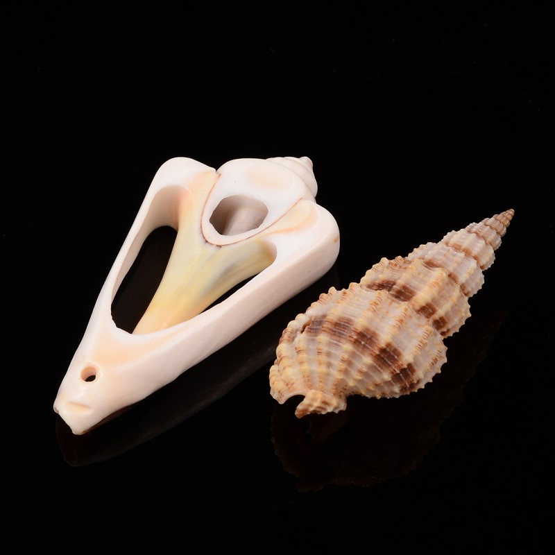 Mušle mix 16~45x8~27x8~27mm, 50 g