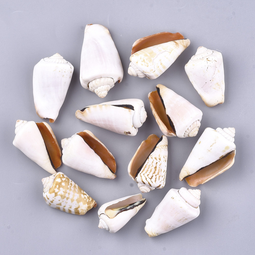 Mušle 40~54x20~28x18~25mm, 4 ks