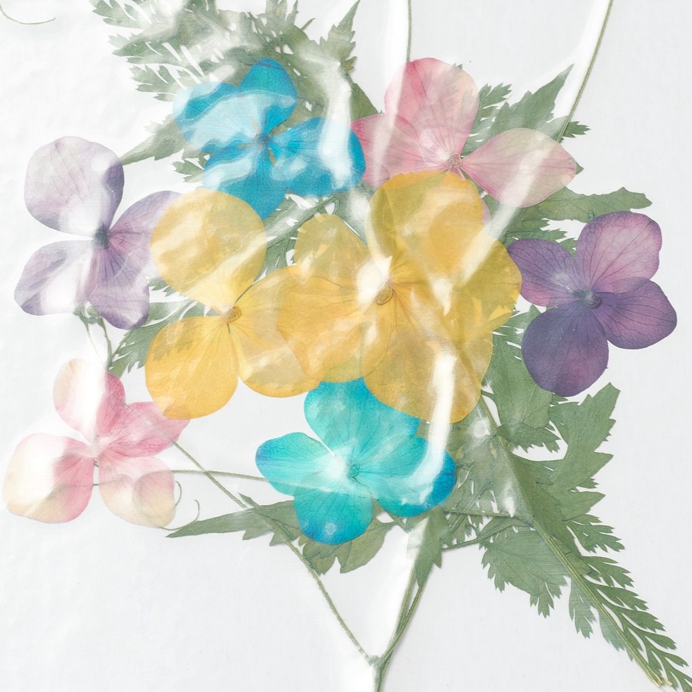 Lisované sušené kvety 130x100x0.8mm, 1 balenie