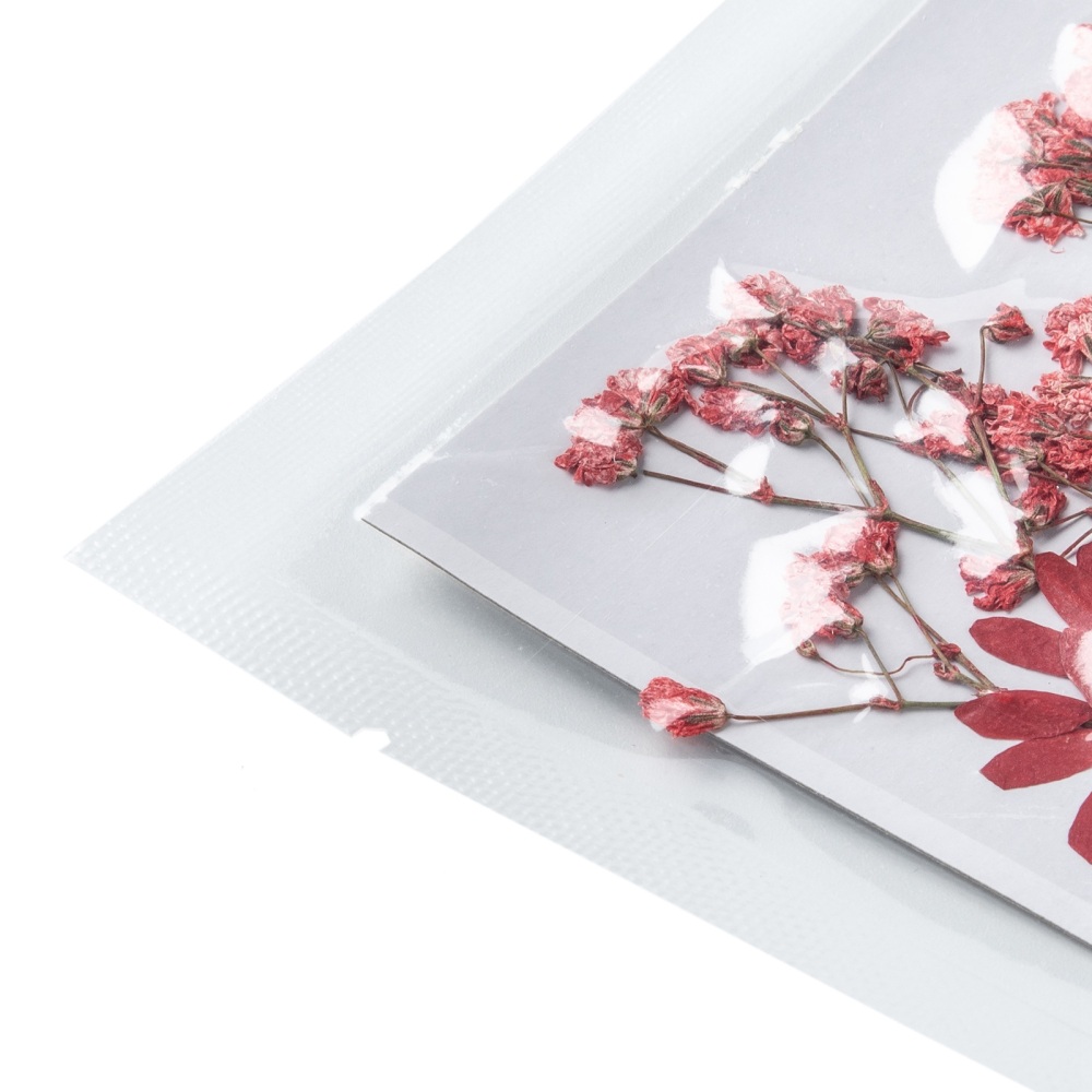 Lisované sušené kvety Červený mix 120x85x0.3mm, 1 balenie