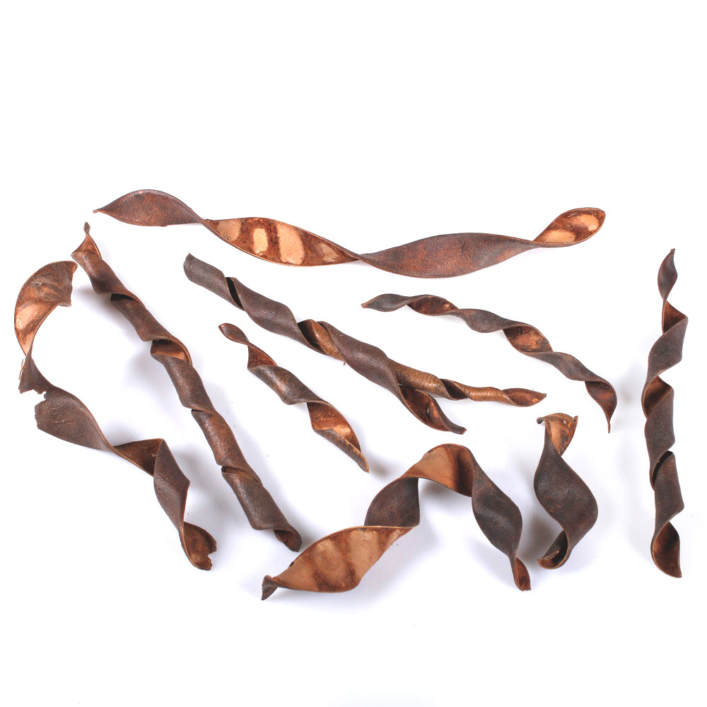 Sušené struky 12-25cm, 10 ks