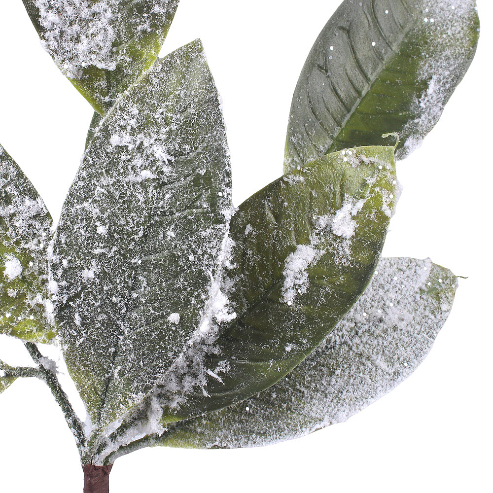 Zasnežený bobkový list 39x16cm, 1 ks