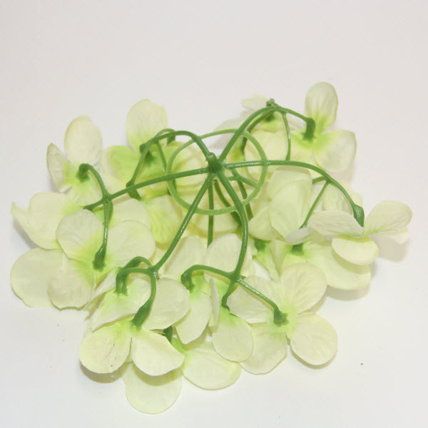 Kvet Hortenzia priemer 15 cm