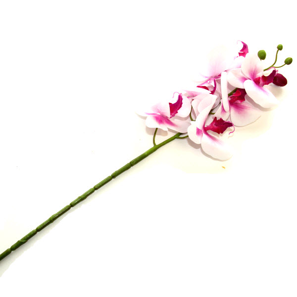 Orchidea 74 cm