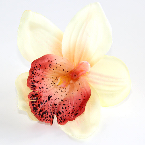 Kvet Orchidea 14 cm, 2 ks