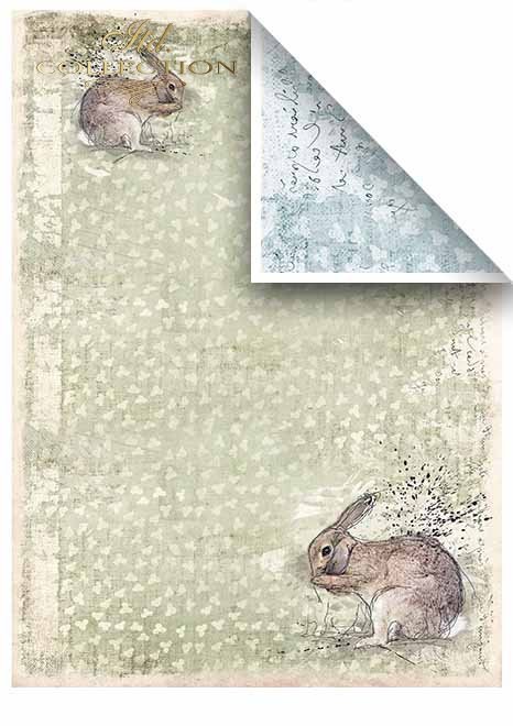 Sada "Around the farm" scrapbook papierov 6 ks