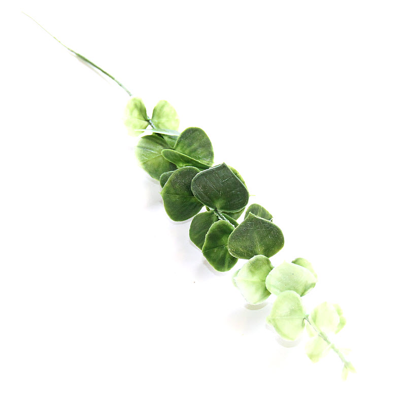 Vetvička Eucalyptus 40 cm, 4 ks
