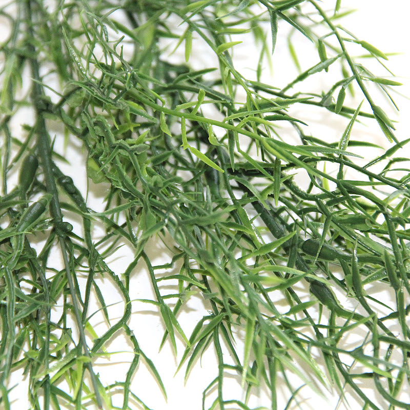Vetvička Asparagus 77cm, 1 ks