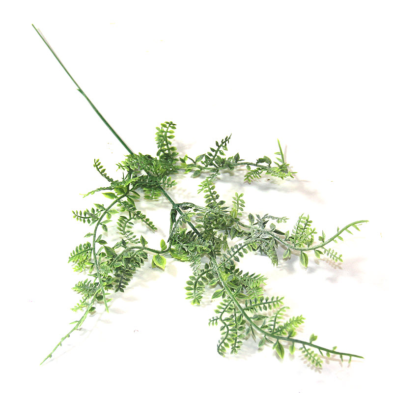 Zelená vetvička Asparágus 38 cm, 4 ks