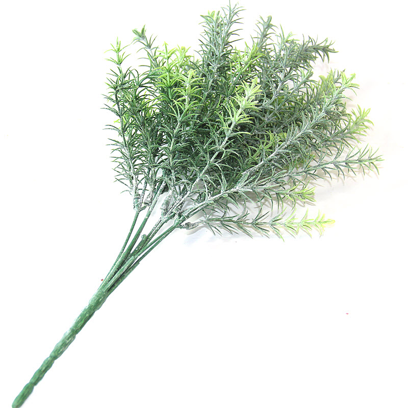 Zelená vetvička Asparágus 36 cm, 1 ks