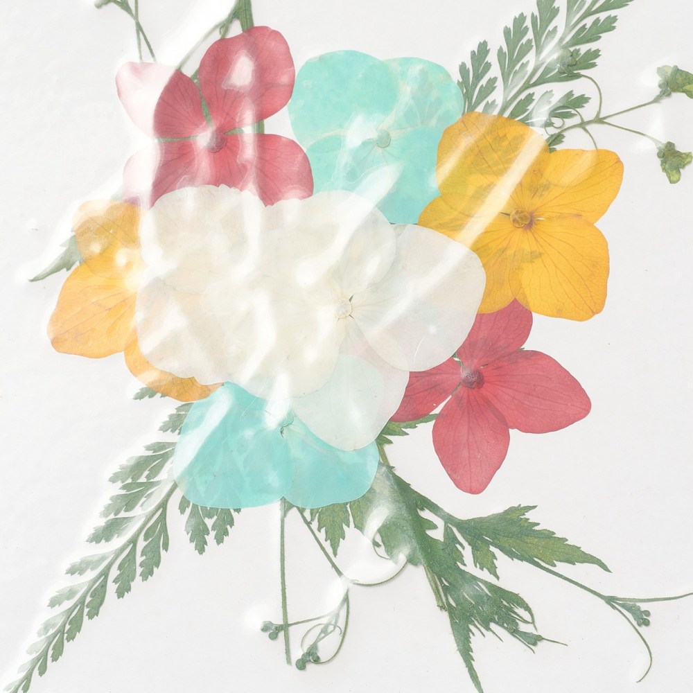 Lisované sušené kvety 130x100x0.8mm, 1 balenie