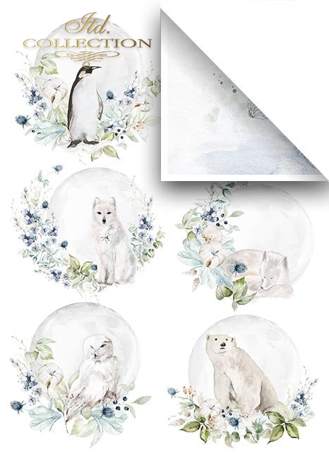 Sada Ice porcelain scrapbook papierov 6 ks