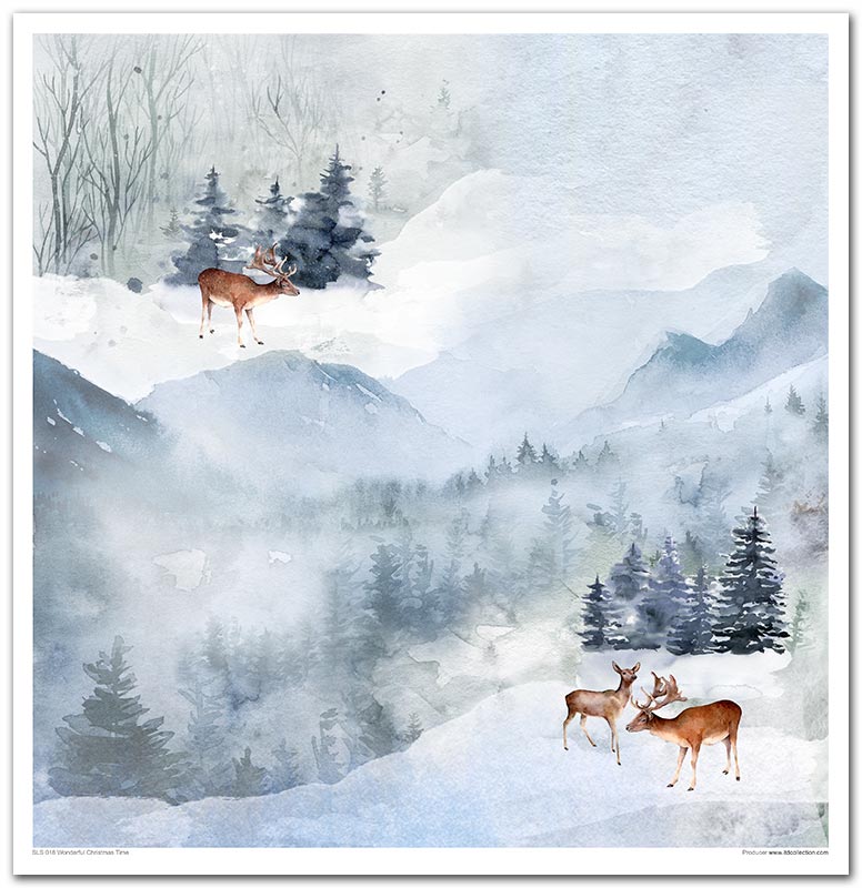 Sada scrapbook papierov Wonderful Christmas Time 30x30cm, 10 ks