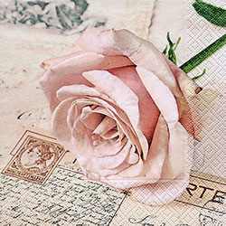 Servítky Postcard rose