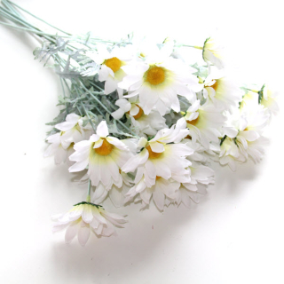 Sedmokráska 60 cm, 1 ks