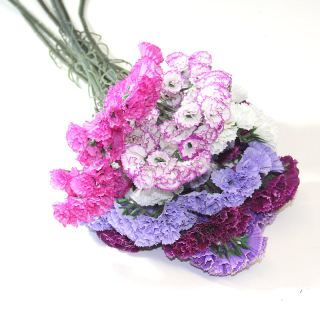 Umelé Slamienky 59 cm, 1 ks