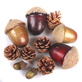 Umelé žalude a šišky, 1 bal.