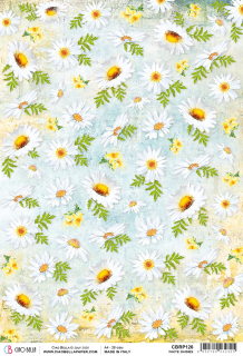 Ryžový papier WHITE DAISIES A4, 1 ks