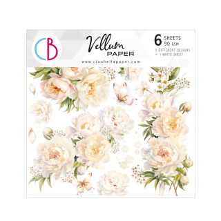 Vellur papier ALWAYS & FOREVER 15 x 15cm, 6 ks