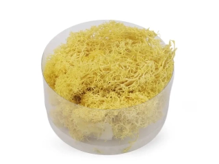 Prírodný stabilizovaný mach Žltá, 20 g